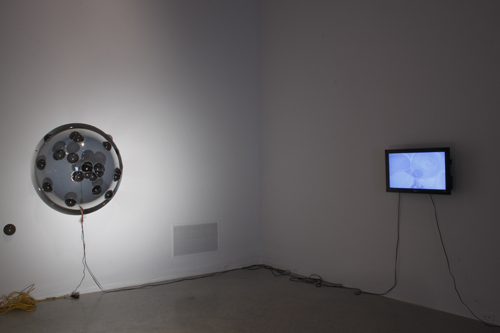 Detail Shot, Sean Smith